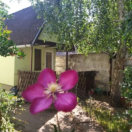 Life Water Small House Budapešť Exteriér fotografie