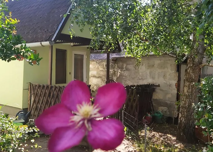 Life Water Small House