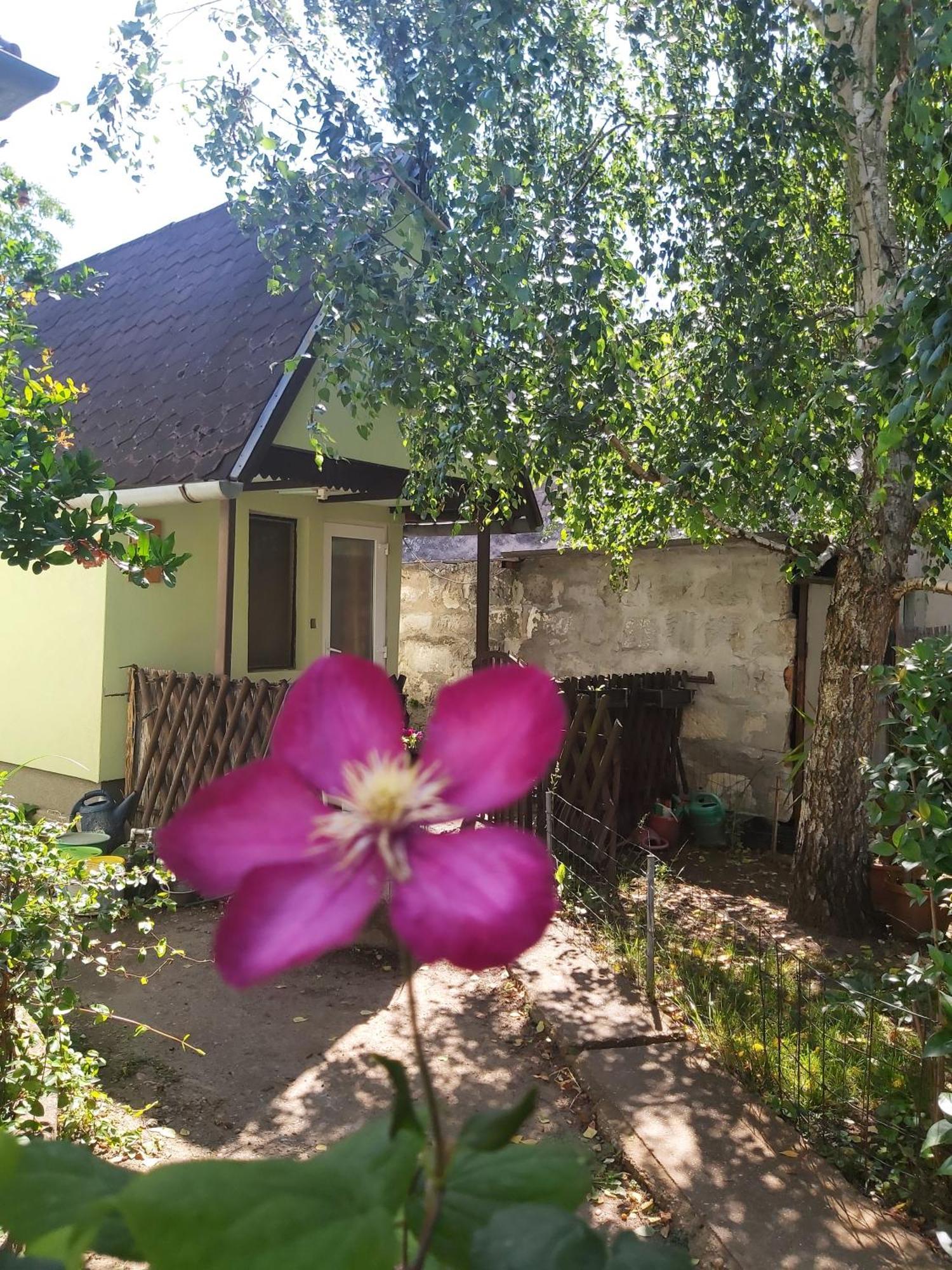 Life Water Small House Hébergement de vacances Budapest